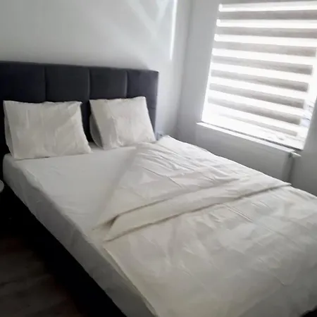 Lux * Lublaň